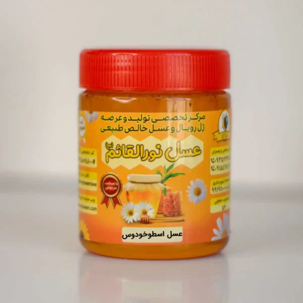 عسل اسطوخودوس 500 گرمی